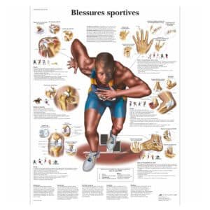 Blessures sportives