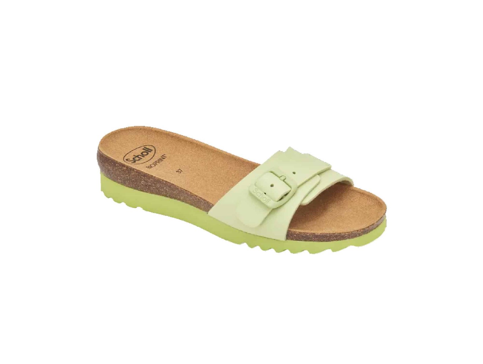 Sandale Scholl GINNI Vert