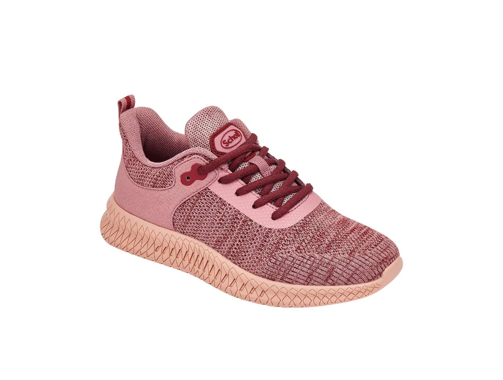 Sneakers Thomas Rose Multi