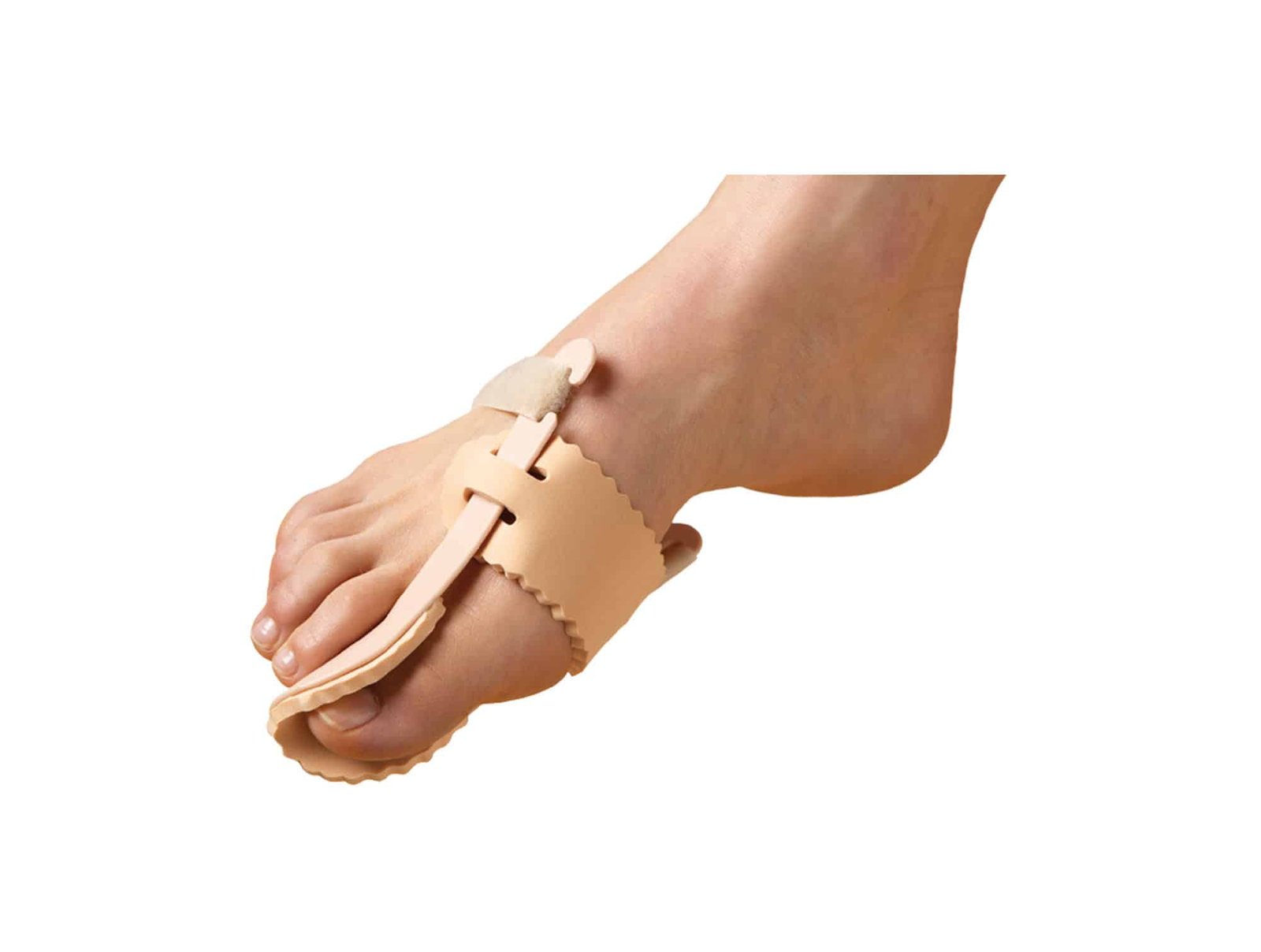 Boîte de Rangement pour Orthoplasties Orthocase